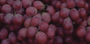 Abstract grapes header for the private parties page
